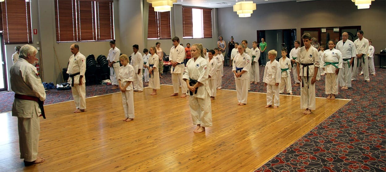 kung fu karate training